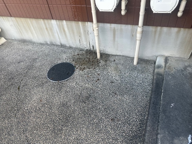 サンハイム高倉の入居前点検で、給湯器の中に蜂の巣があったこと